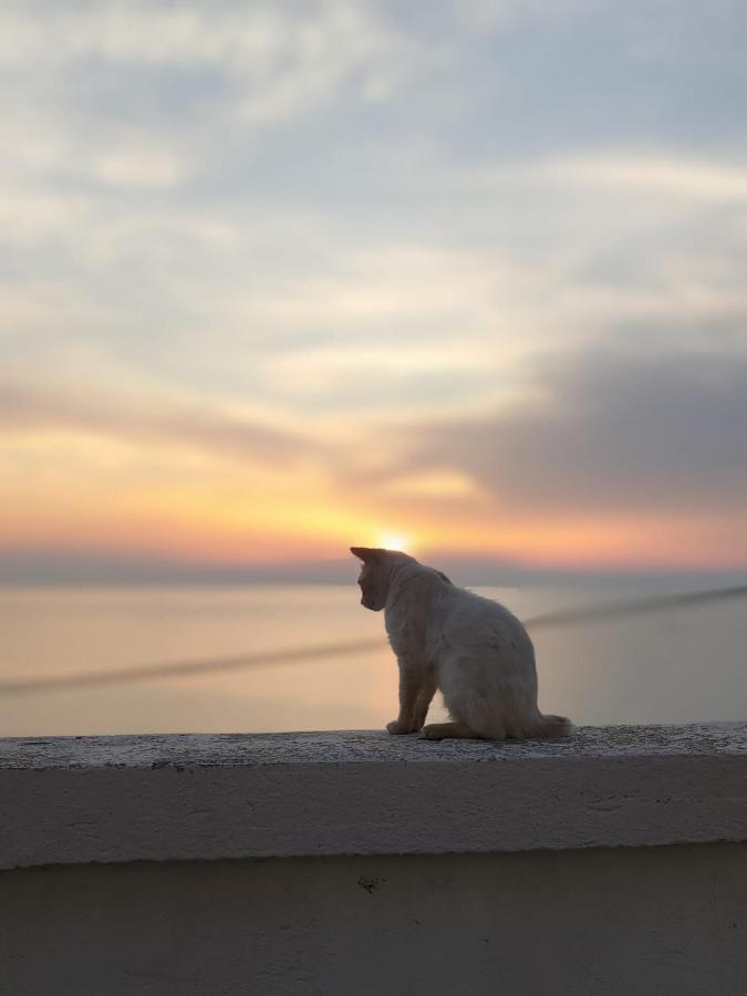 La Locanda Del Convento Tropea Dış mekan fotoğraf