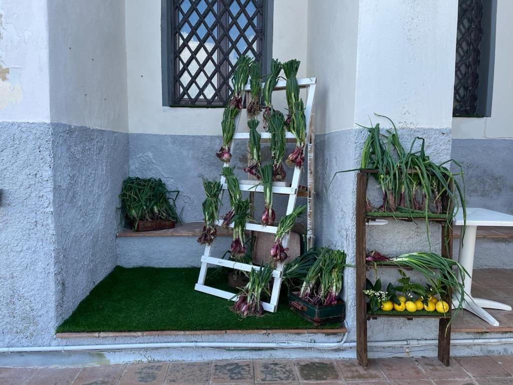 La Locanda Del Convento Tropea Dış mekan fotoğraf