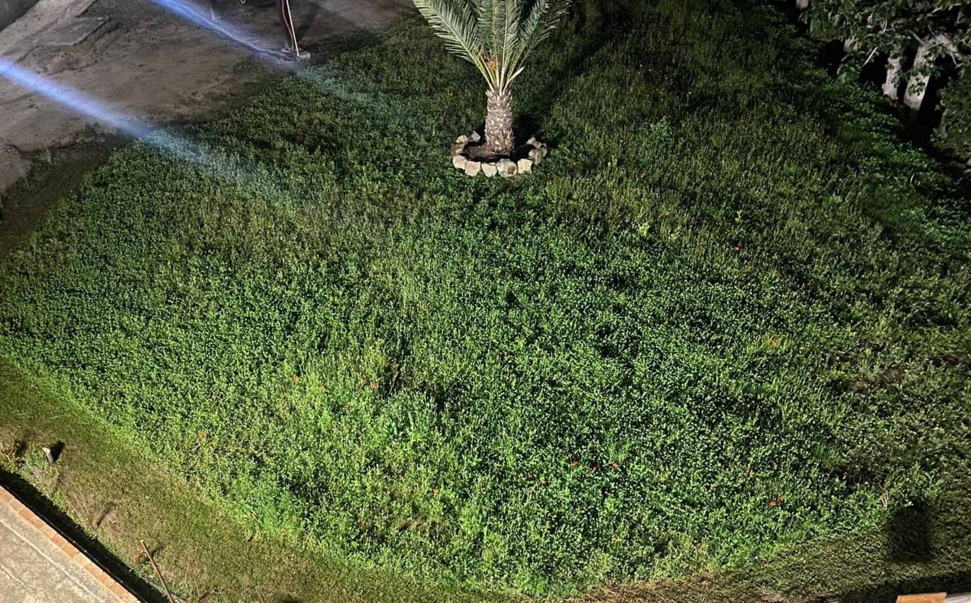 La Locanda Del Convento Tropea Dış mekan fotoğraf
